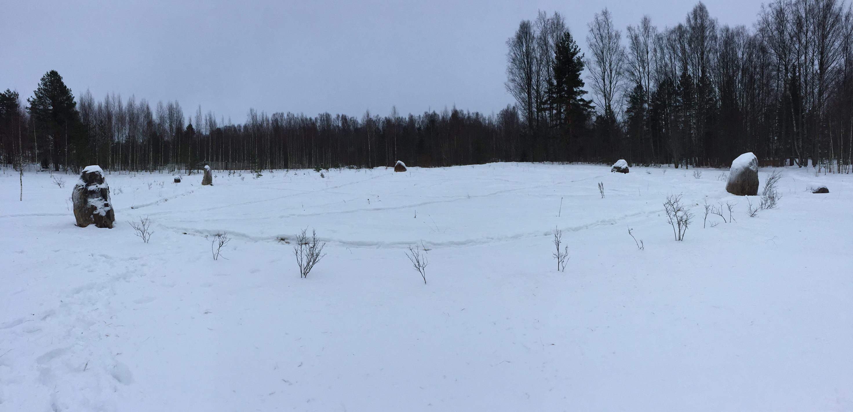 Круг Души. Россия. Санкт-Петербург (Доброе). Общий вид