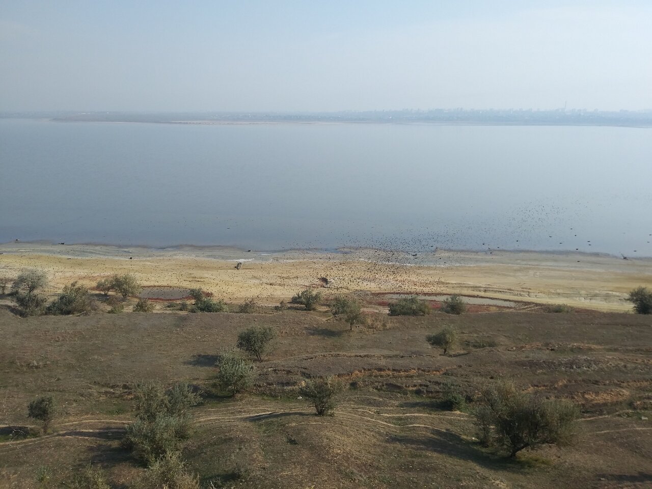 Круг Души. Украина. Одесса. В окрестностях